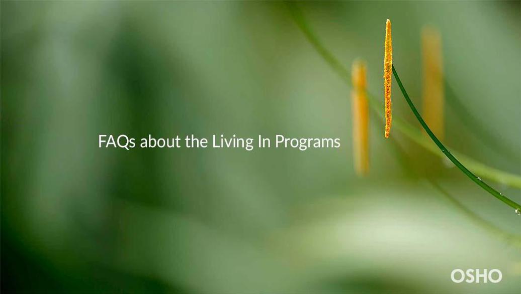 09 Osho Living In Faqs