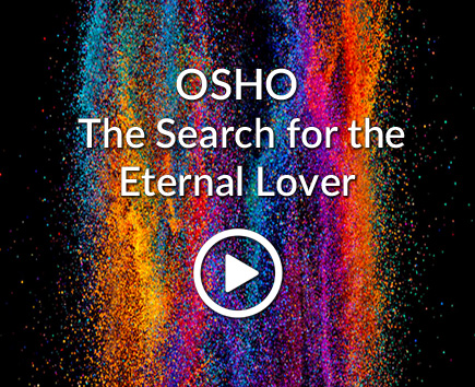 The Search For The