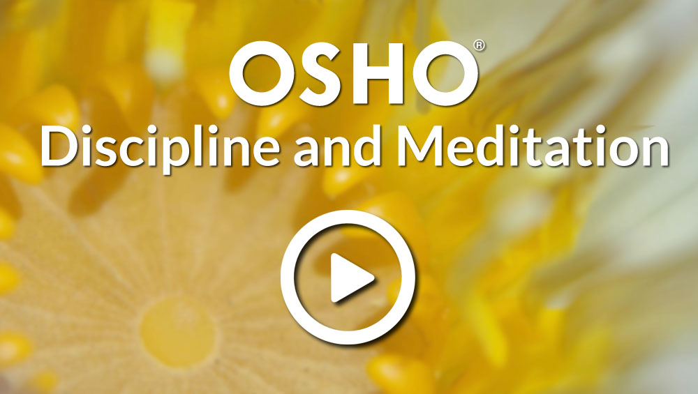 Discipline And Meditation 10Sep2019 New2 0