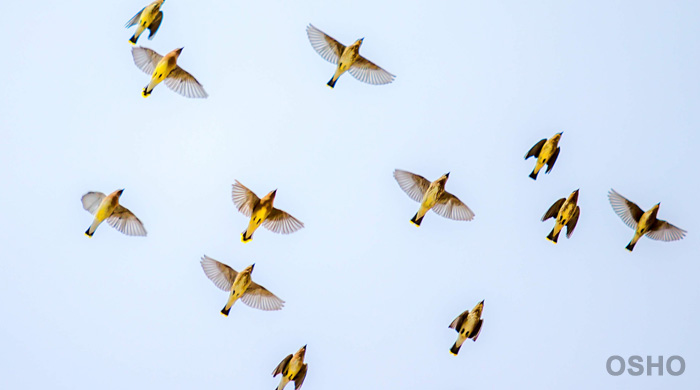 Let Yourself Become Weightless
