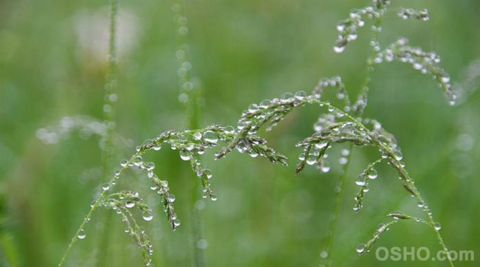 DROP THE PAST EACH MOMENT