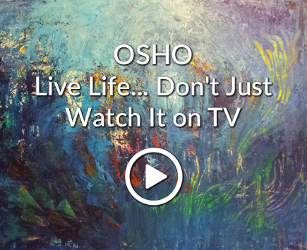 Live Life... Don't Just Watch It on TV
