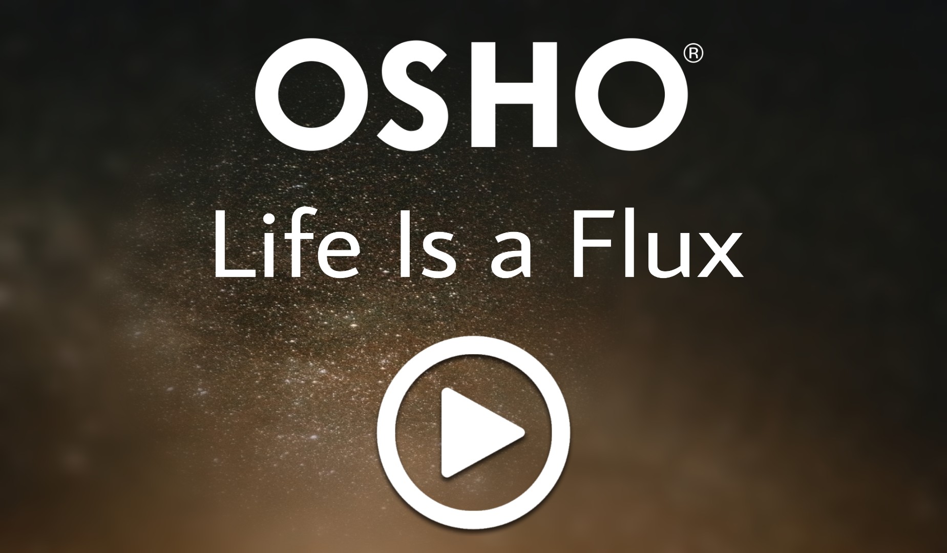 Life Is a Flux
