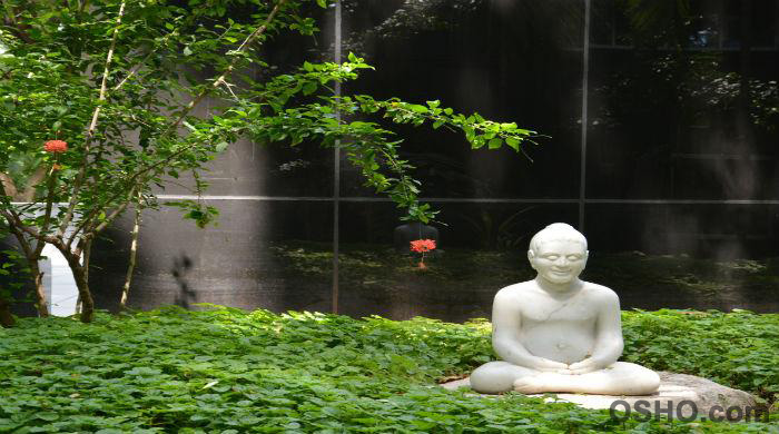 Kundalini: Actualizing  Your Potential
