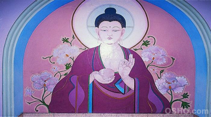 Health, Meditation, and Dreams