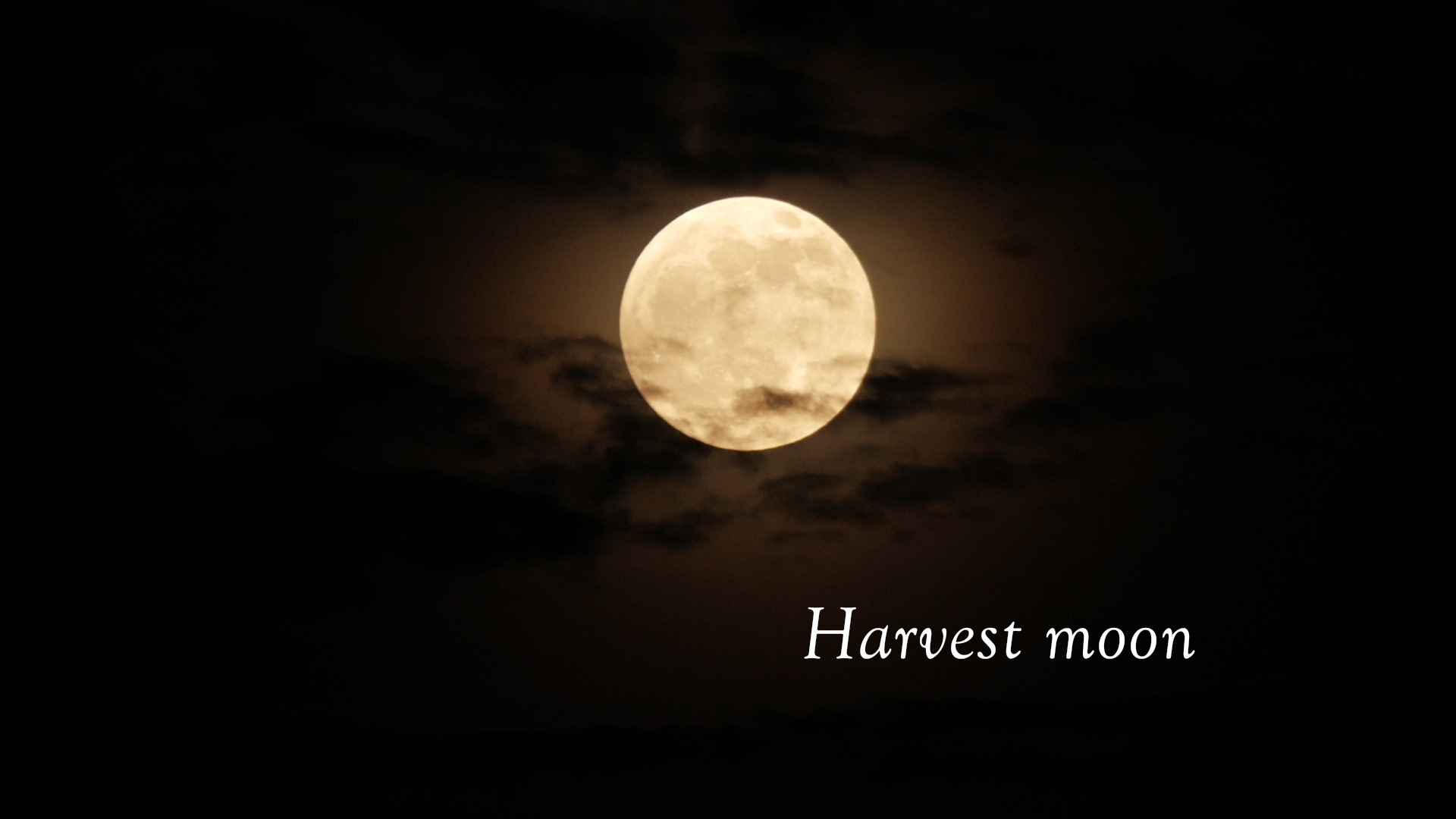 A haiku by Basho