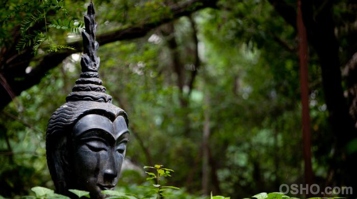 The Alchemy of Being: Brahmacharya
