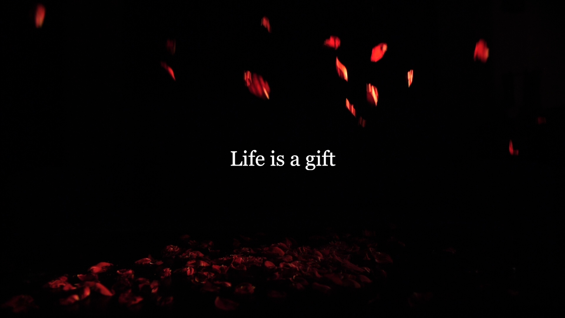 Life is a Gift