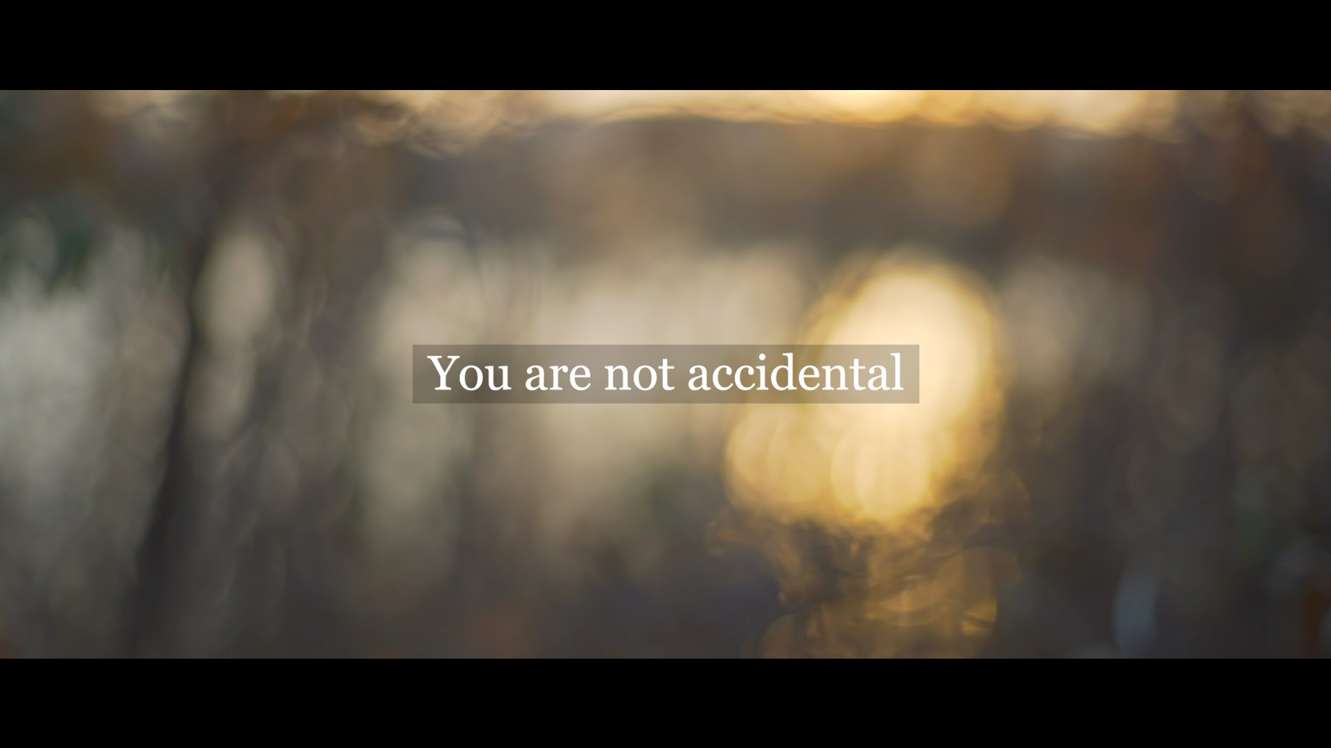 You are not Accidental