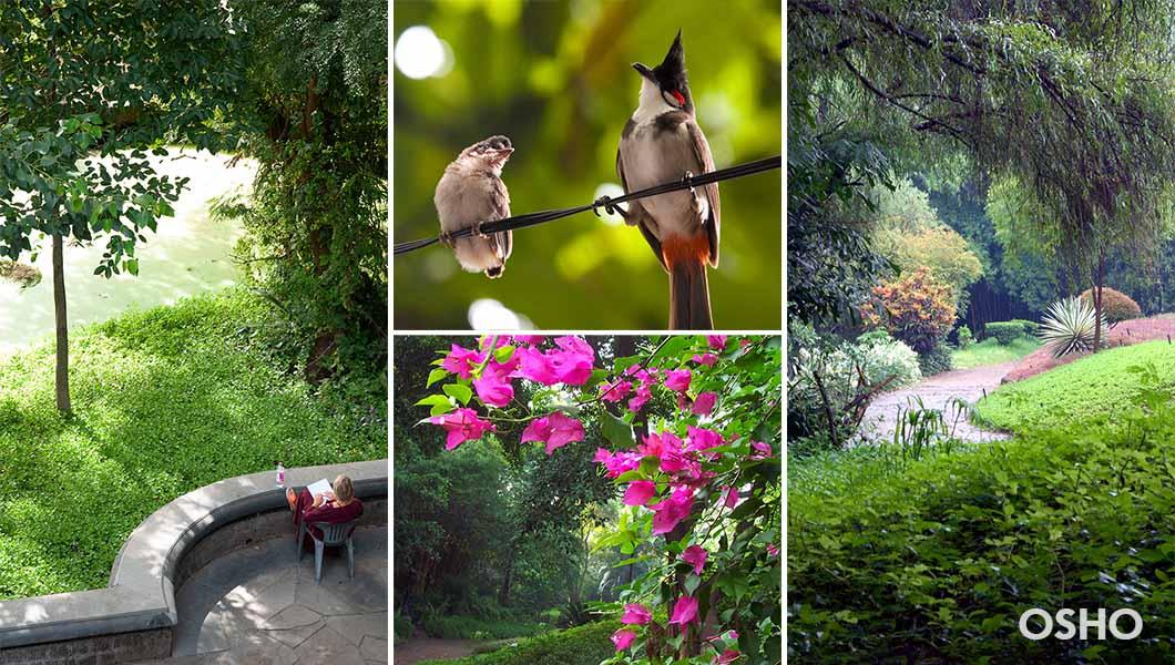 17 Osho Teerth Park