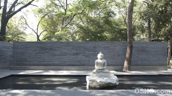 The Universality of Dynamic Meditations