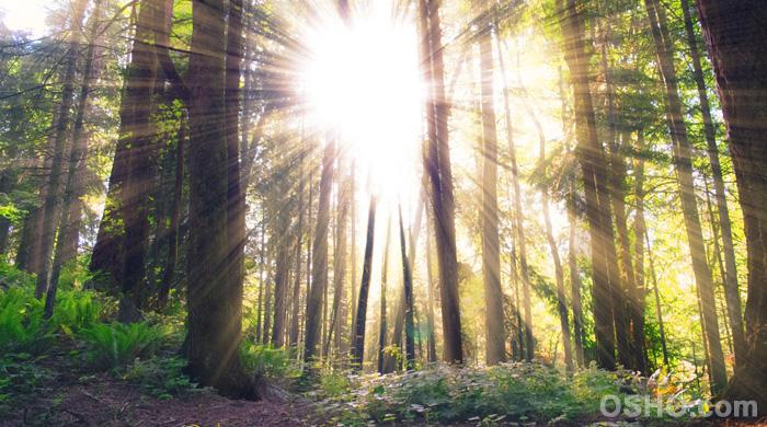 Remember Yourself as Light