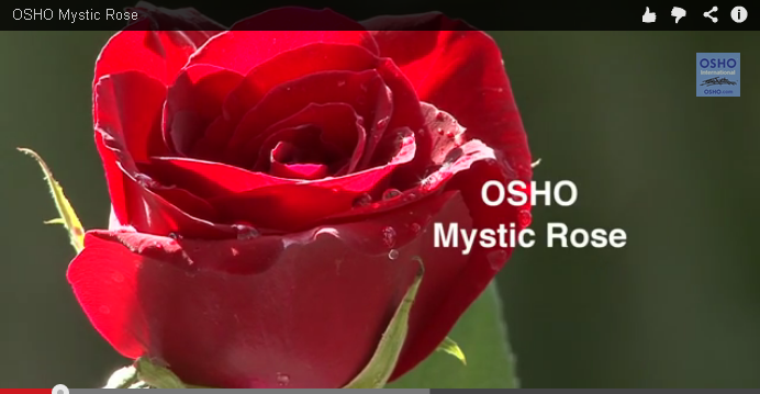 Mystic Rose