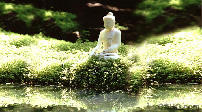 Zorba the Buddha