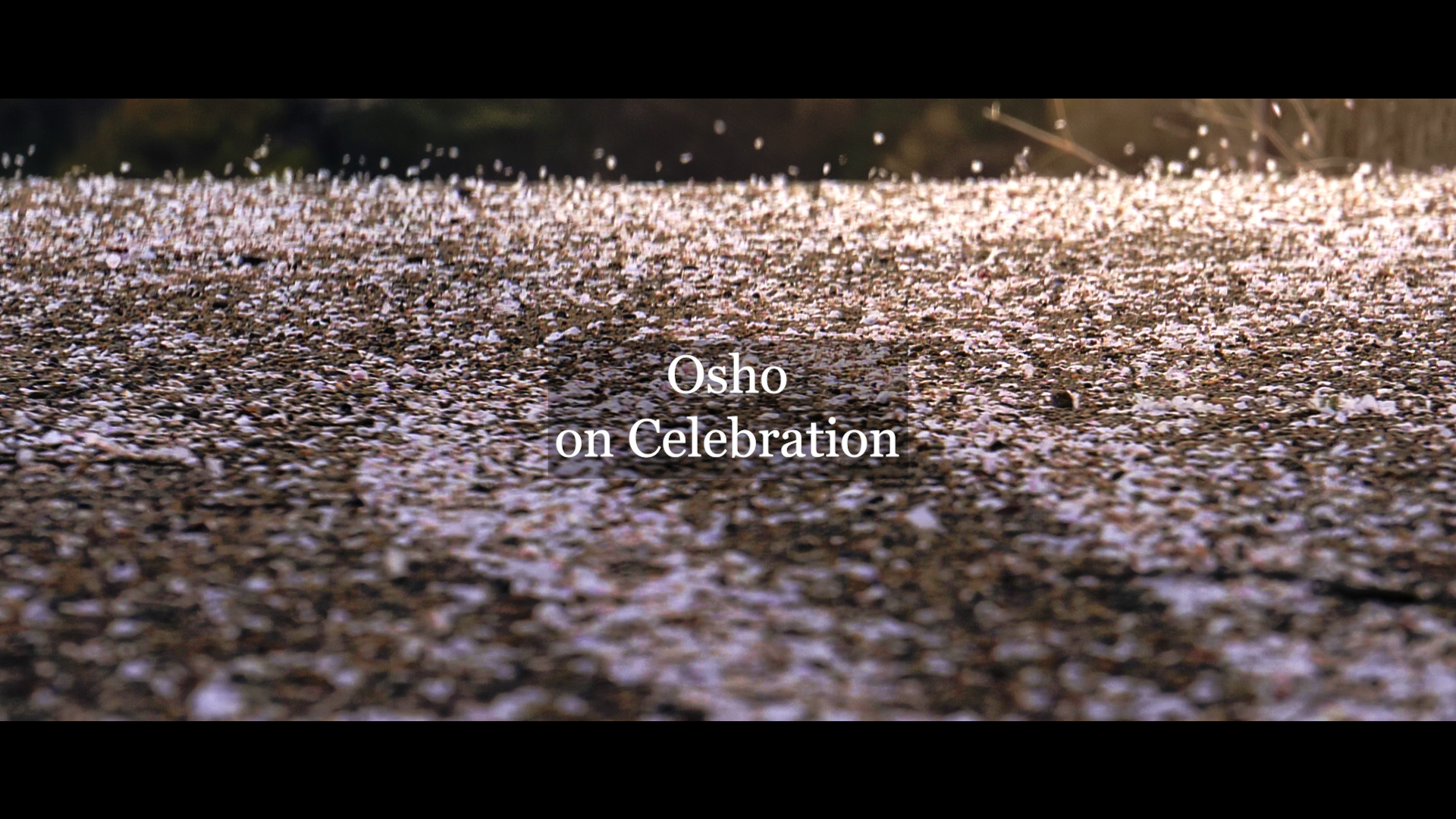 Osho on Celebration