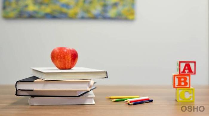 Education: Forward to the Real Basics