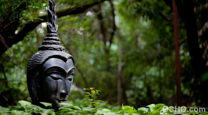 Meditation for a More Deeply Refreshing Sleep