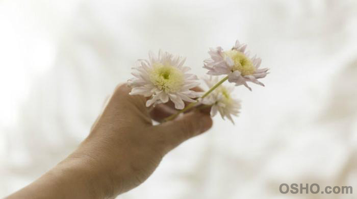 LET LOVE BE YOUR PRAYER (Part 5)