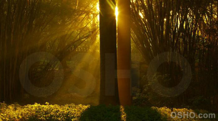 THE KEY BEYOND WORDS (Part 1)