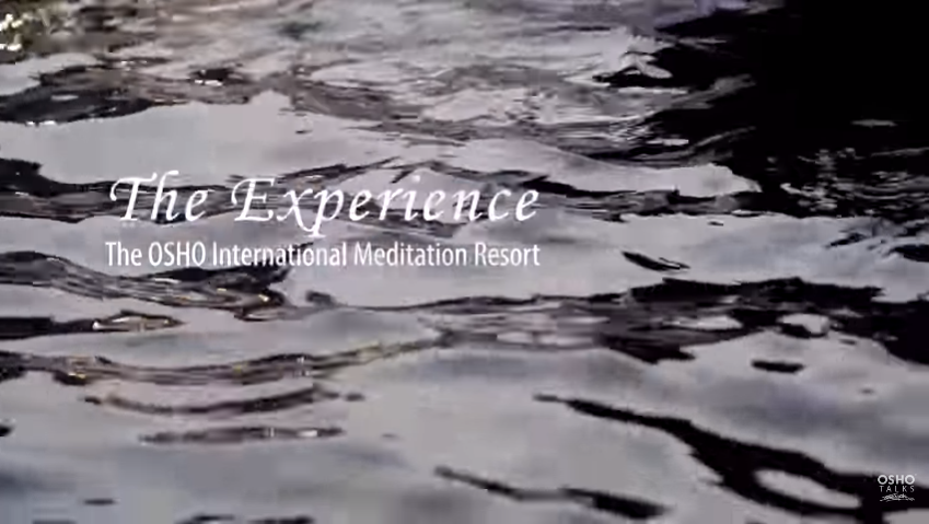 Experience 0