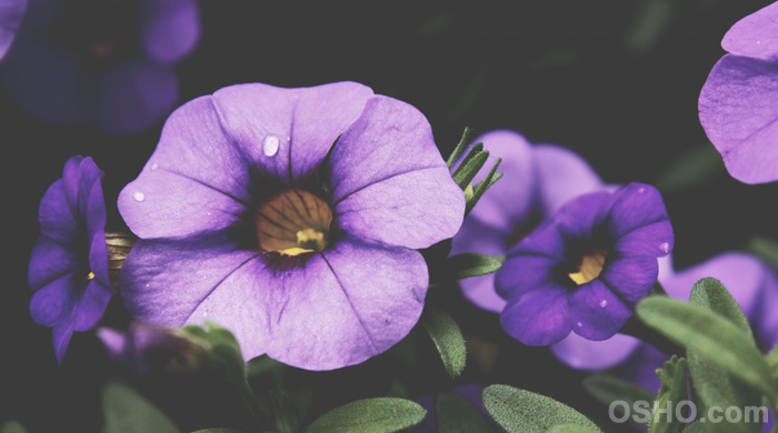 Gratefulness
