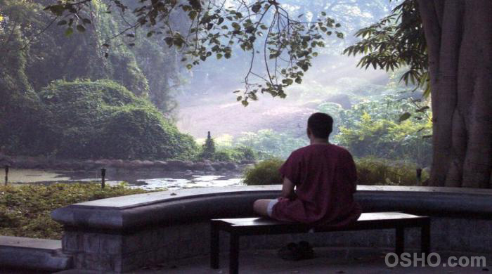 The Real Yogi: The Aloner